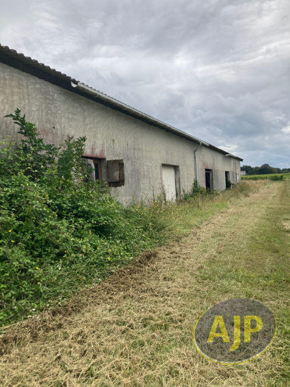 Immeuble - 10 pièces