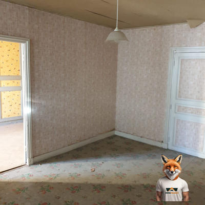 Maison - 500 m² - 12 pièces