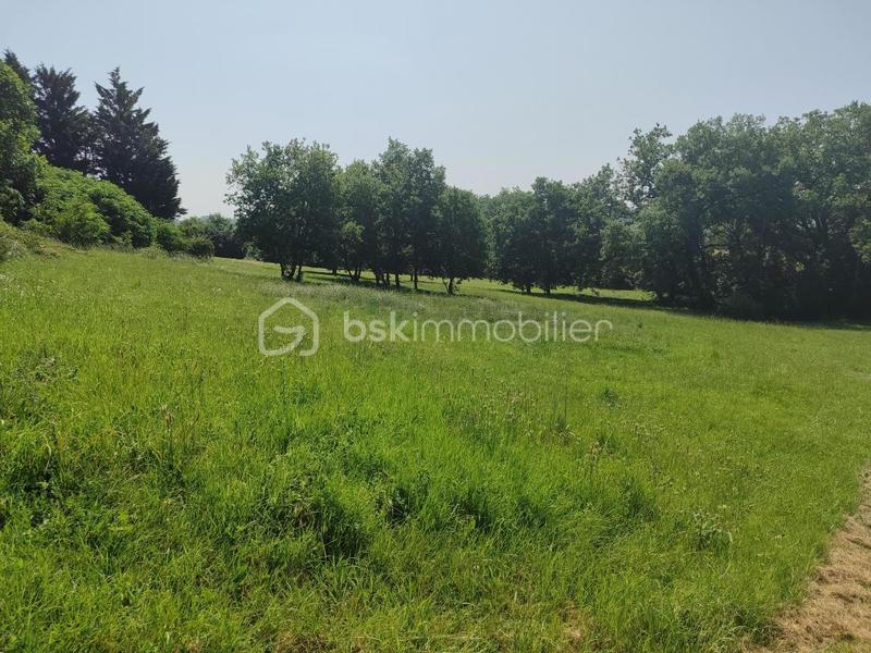 Maison en pierre - 185 m² - 7 pièces