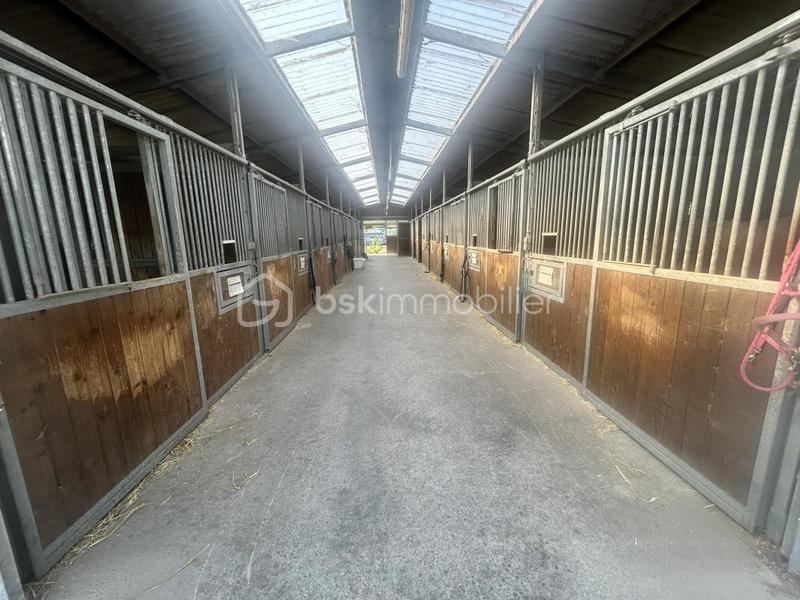 Maison de domaine équestre - 150 m² - 5 pièces