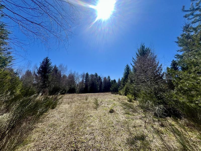 Terrain - 41 056 m²