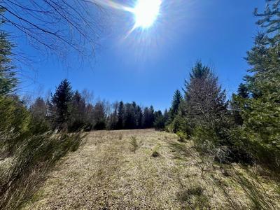 Terrain - 41 056 m²