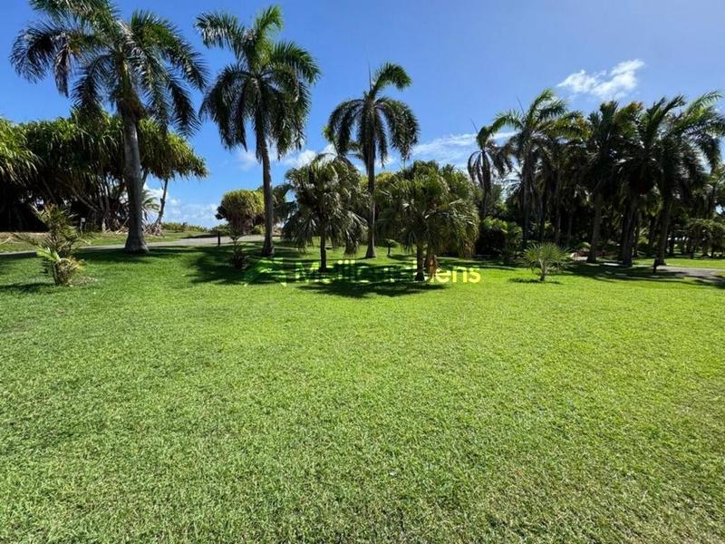 Appartement ancien - 30 m² - 1 pièce