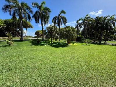 Appartement ancien - 30 m² - 1 pièce