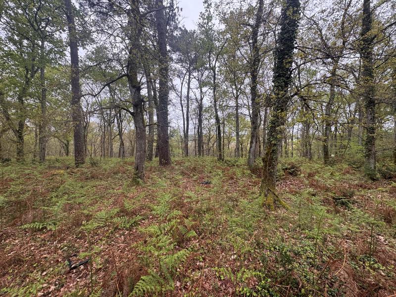 Terrain - 48 400 m²