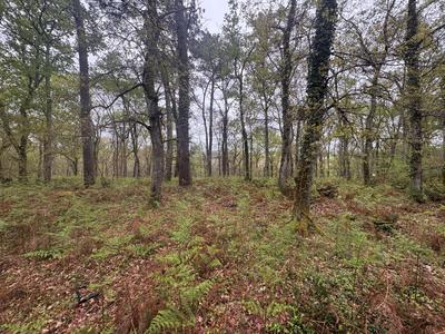 Terrain - 48 400 m²