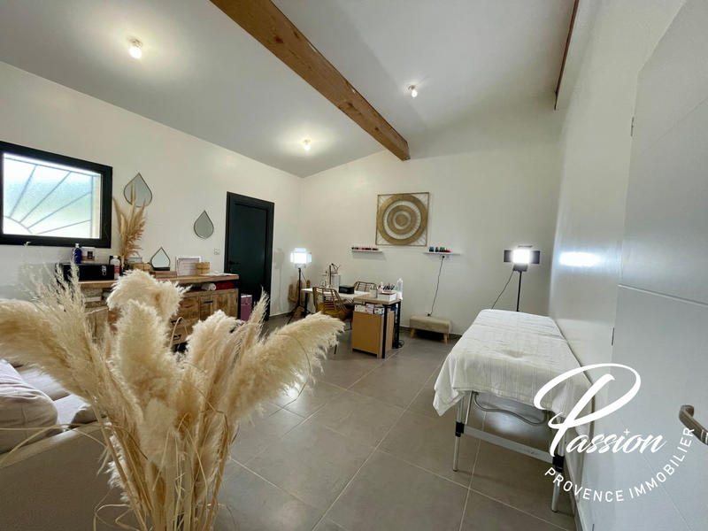 Maison contemporaine - 264 m² - 9 pièces