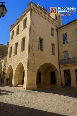 Hôtel particulier - 320 m² - 10 pièces