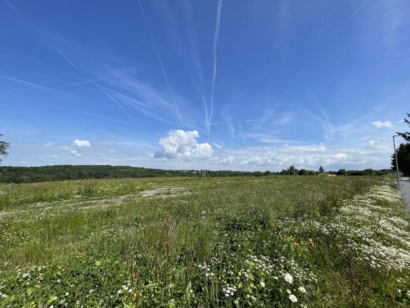 Terrain constructible - 1 267 m²