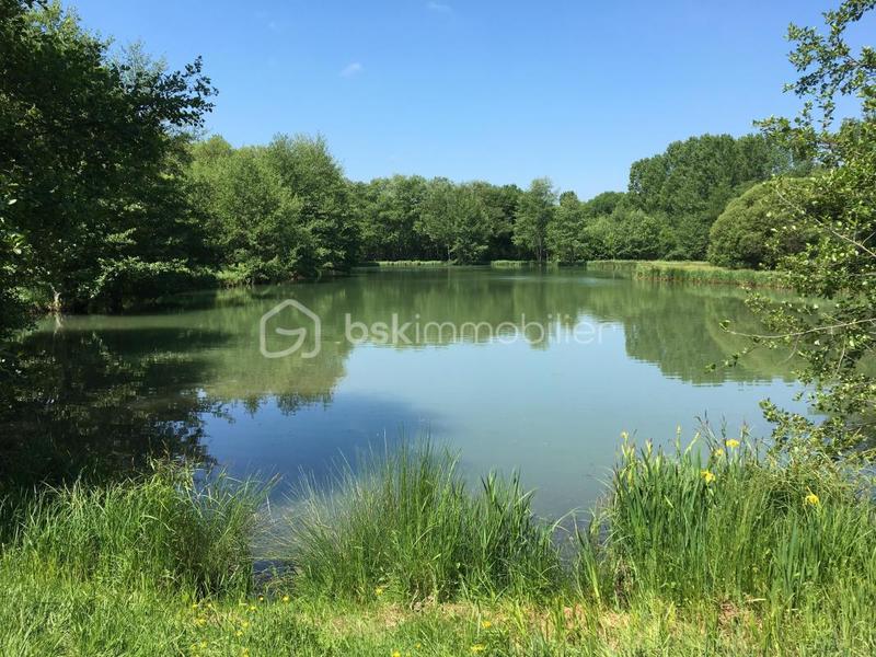 Terrain de loisirs - 26 062 m²