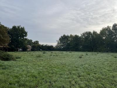 Terrain - 5 000 m²