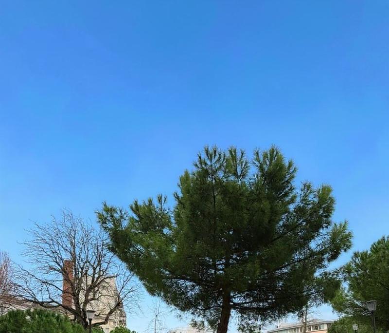 Appartement - 51 m² - 3 pièces