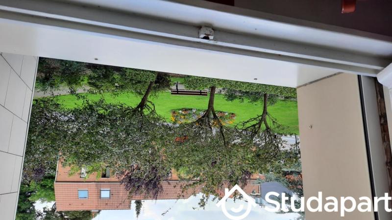 Chambre - 11 m² - 1 pièce