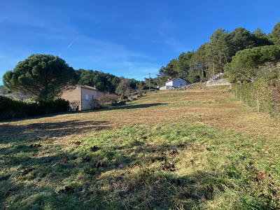 Terrain - 1 555 m²