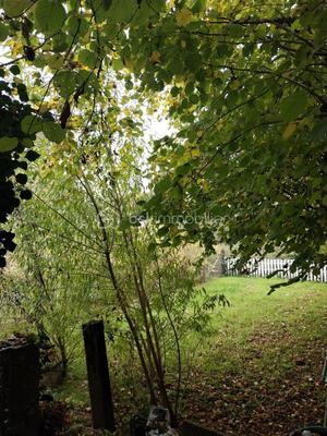 Maison de village - 99 m² - 5 pièces