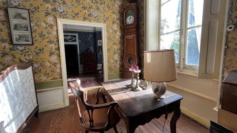 Hôtel particulier - 310 m² - 9 pièces