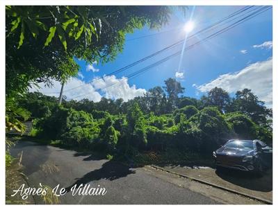 Terrain constructible - 1 041 m²