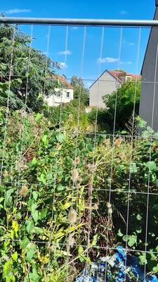 Appartement - 431 m²