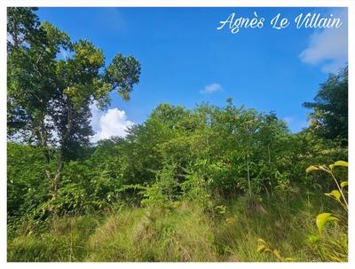 Terrain constructible - 2 983 m²