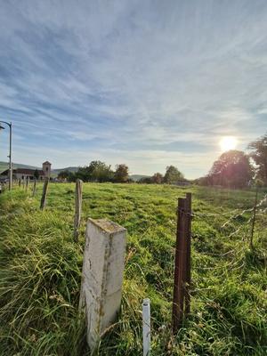 Terrain constructible - 1 556 m²