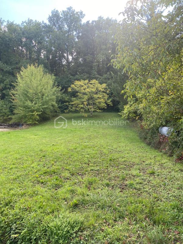 Terrain constructible - 1 007 m²