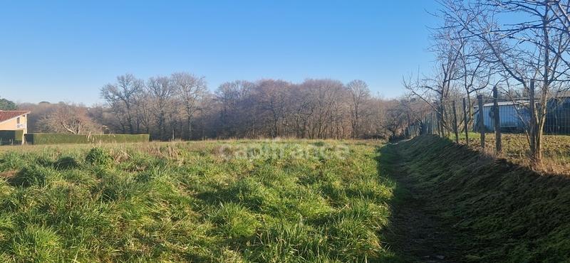 Terrain constructible - 7 522 m²