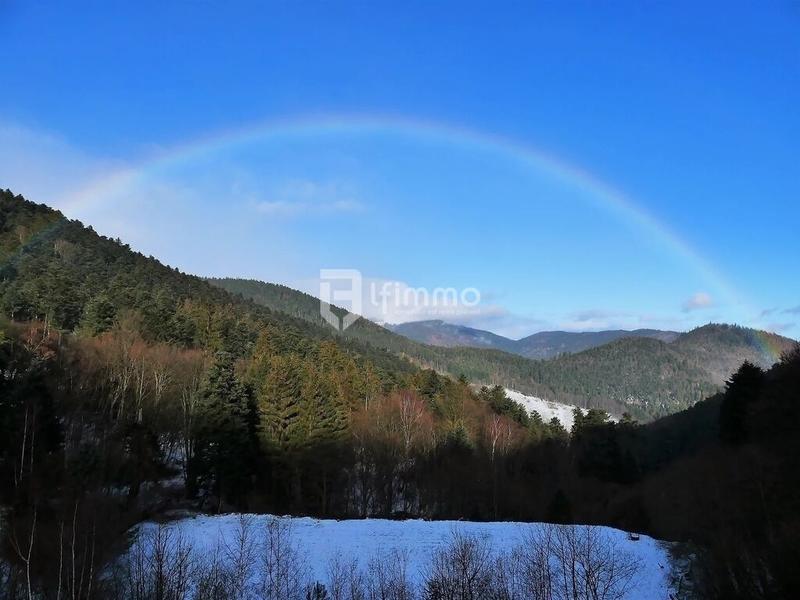 Immeuble - 5 000 m² - 21 pièces