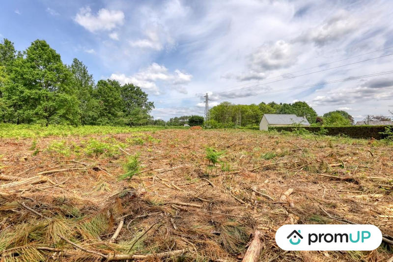 Terrain de loisirs - 4 000 m²