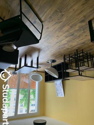 Chambre - 13 m² - 1 pièce