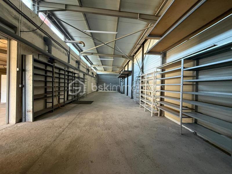 Local d'activité / Entrepôt - 318 m² - 3 pièces