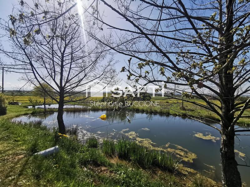 Maison - 240 m² - 6 pièces