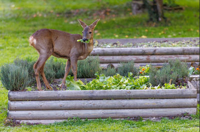 Maison - 284 m² - 12 pièces