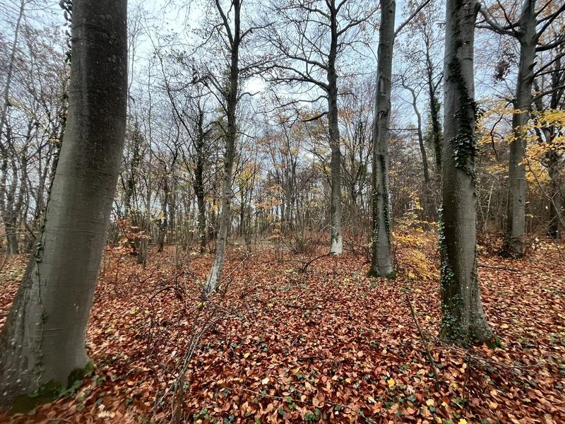 Terrain - 108 475 m²