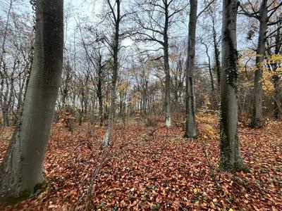 Terrain - 108 475 m²