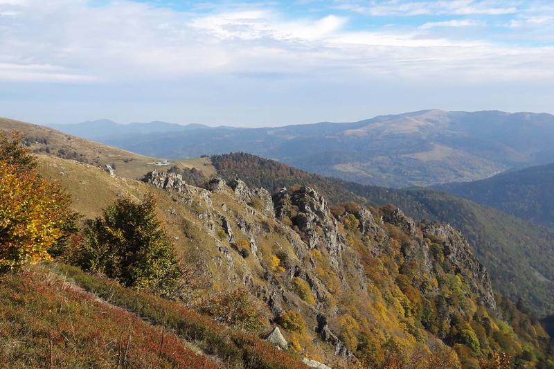 Club Vosgien : le sentier des Névés