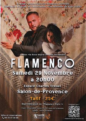 Spectacle : Soirée flamenco