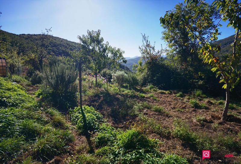 Maison - 48 m² - 2 pièces