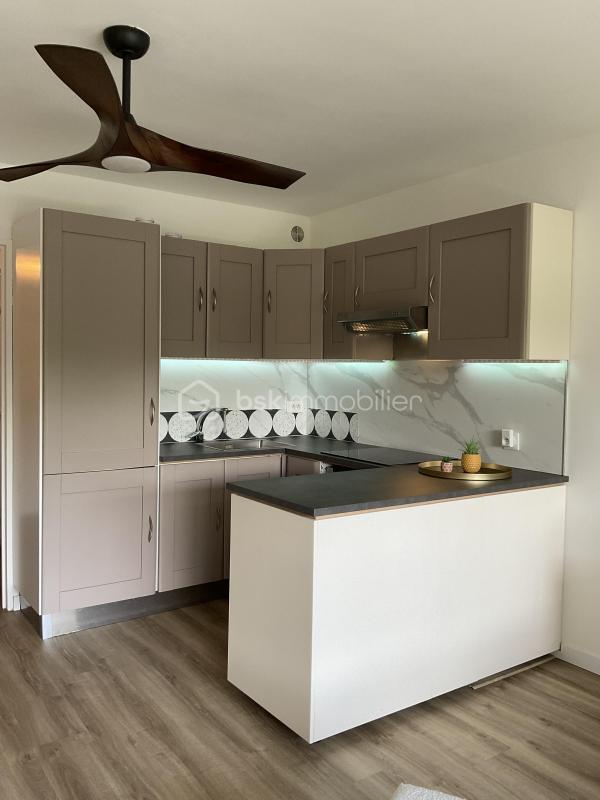 Studio - 24 m² - 1 pièce