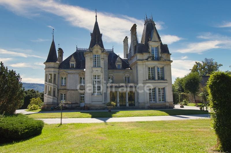Château - 660 m² - 12 pièces