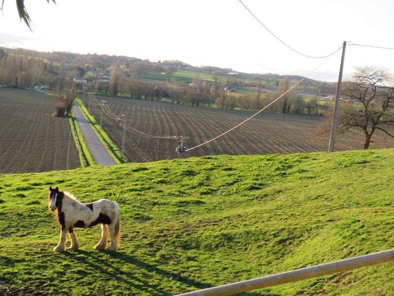 Maison - 198 m² - 7 pièces