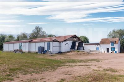 Local d'activités - 395 m²