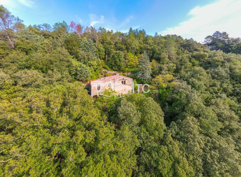 Maison en pierre - 64 m² - 4 pièces