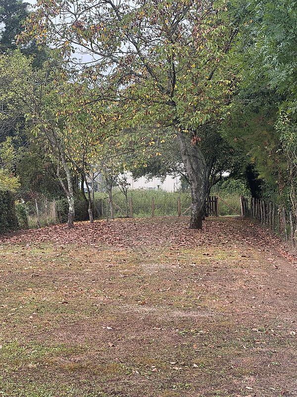 Maison de village - 119 m² - 6 pièces