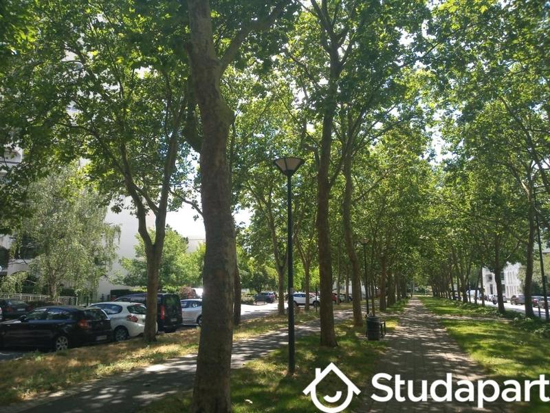 Chambre - 9 m² - 1 pièce