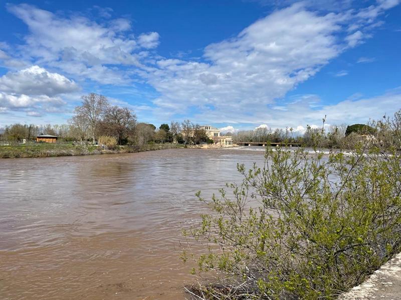 Appartement - 22 m² - 1 pièce