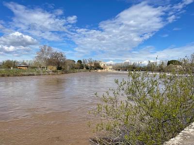 Appartement - 22 m² - 1 pièce