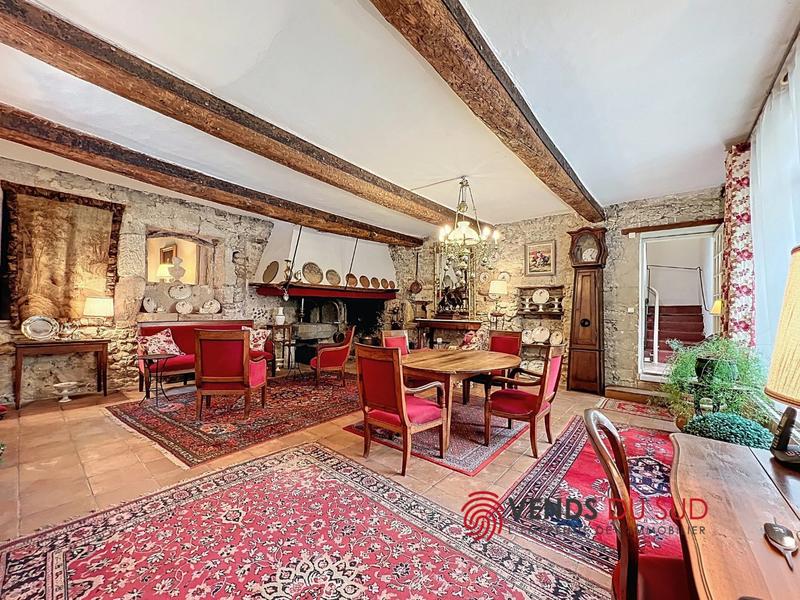 Viager - Demeure - 223 m² - 6 pièces