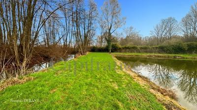 Terrain de loisirs - 8 000 m²