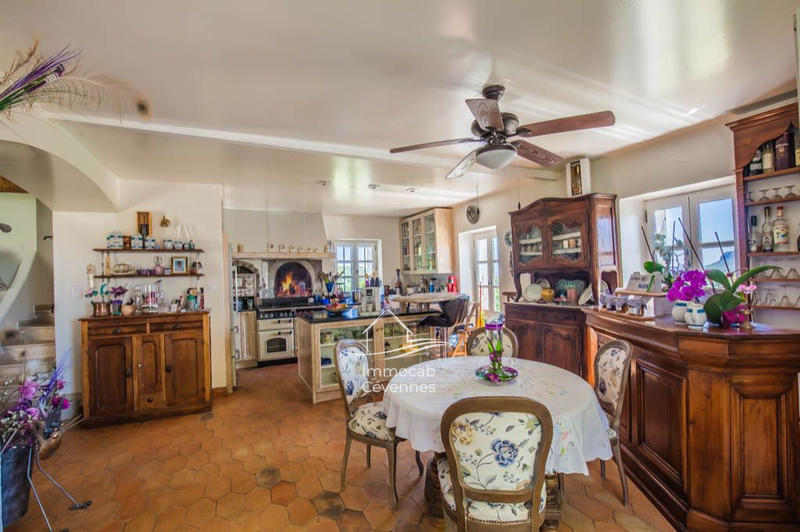 Mas - 740 m² - 10 pièces