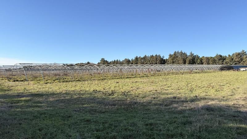 Mas - 217 m² - 5 pièces